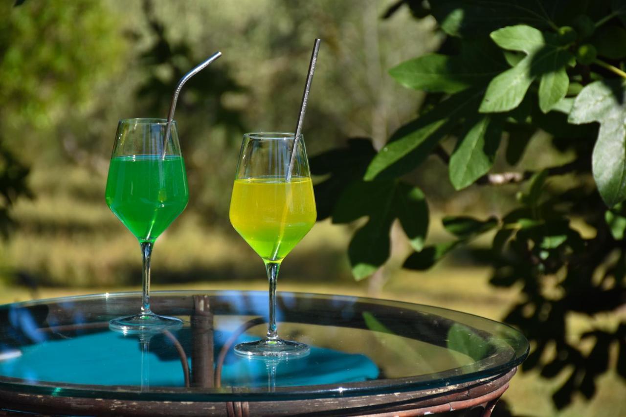 Olive Garden & Sea Apartments Portorož Zewnętrze zdjęcie